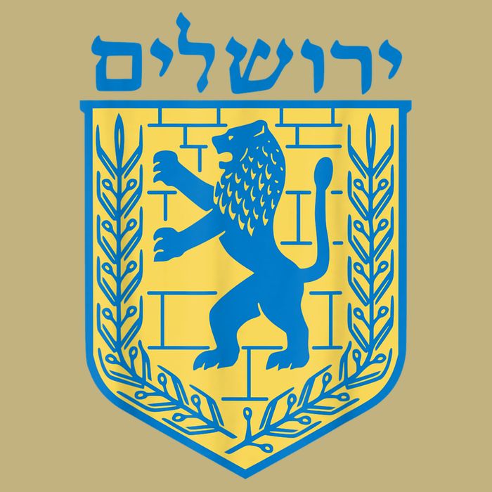 Lion Of Judah Gift Israel Jewish Jerusalem Sign Jew Hebrew T-Shirt