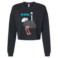 LAUGHING OSTRICH Cropped Pullover Crew