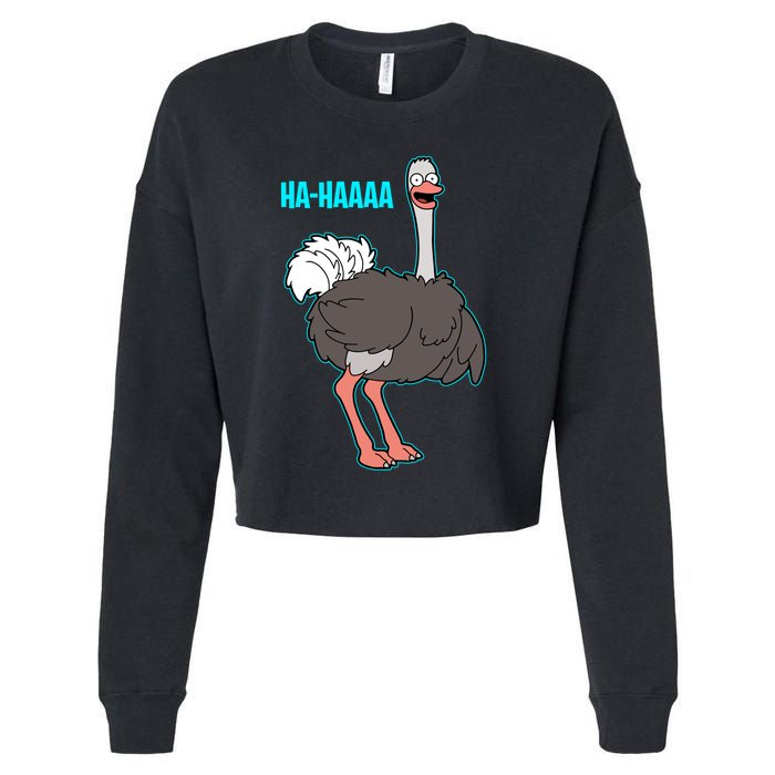 LAUGHING OSTRICH Cropped Pullover Crew