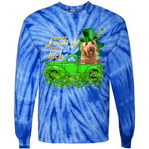 Loads Of Luck Truck Goldendoodle St Patrick's Day Gift Tie-Dye Long Sleeve Shirt