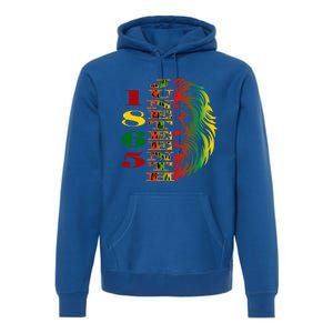 Lion Of Liberation And Freedom 1865 Junenth Ecipation Great Gift Premium Hoodie