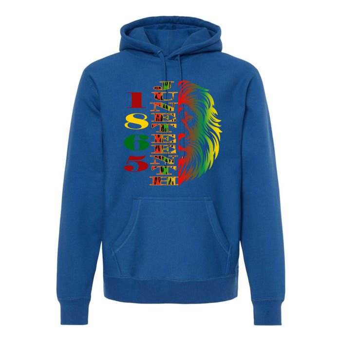 Lion Of Liberation And Freedom 1865 Junenth Ecipation Great Gift Premium Hoodie