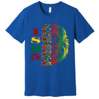 Lion Of Liberation And Freedom 1865 Junenth Ecipation Great Gift Premium T-Shirt