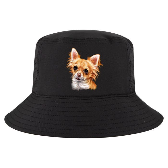 Long Haired Chihuahua Cool Comfort Performance Bucket Hat
