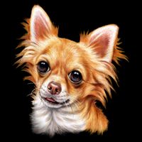 Long Haired Chihuahua Cooling Performance Long Sleeve Crew