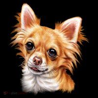 Long Haired Chihuahua Youth Performance Sprint T-Shirt