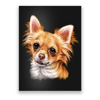Long Haired Chihuahua Poster