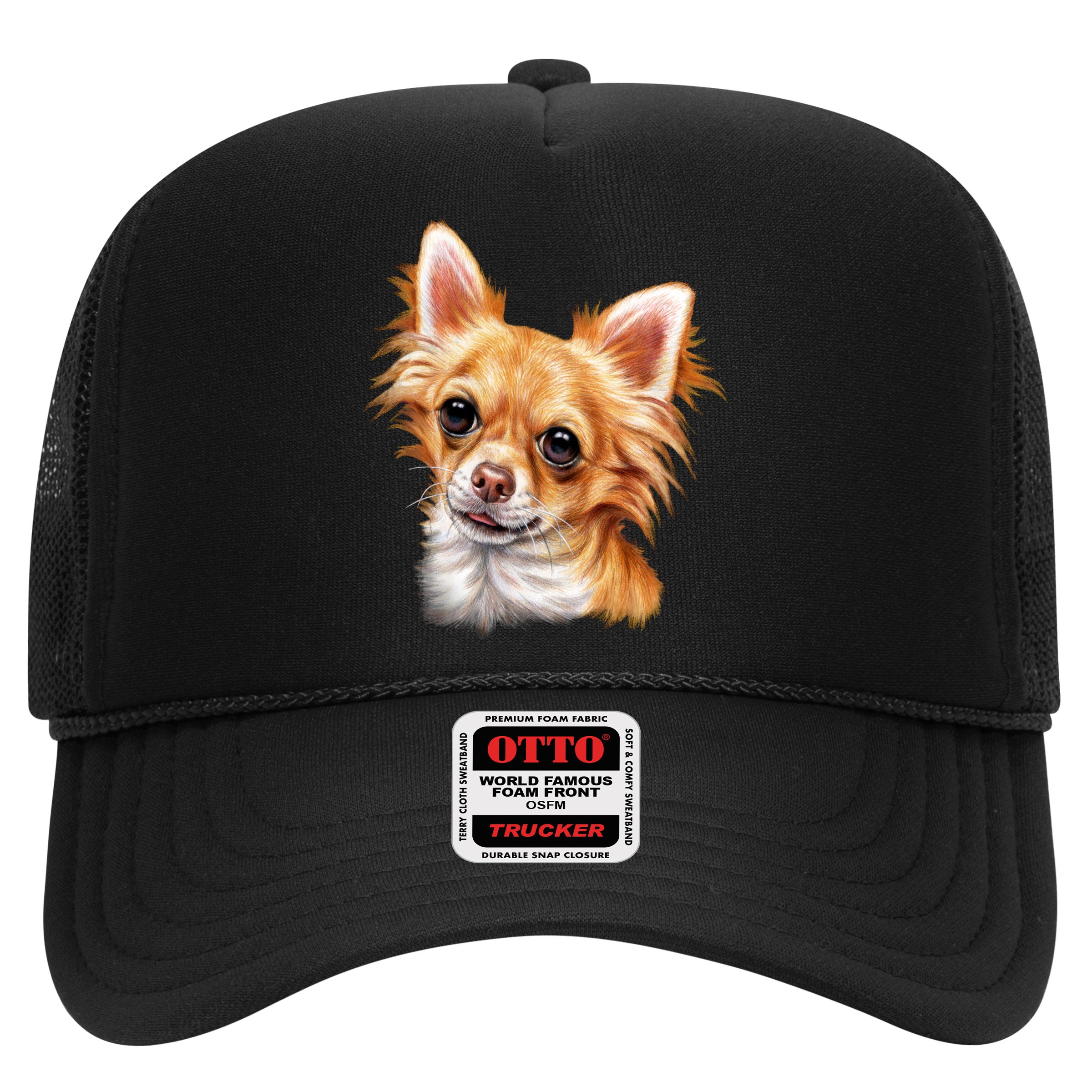 Long Haired Chihuahua Hat