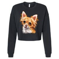 Long Haired Chihuahua Cropped Pullover Crew