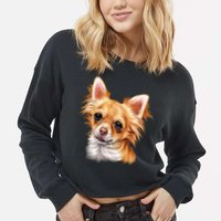 Long Haired Chihuahua Cropped Pullover Crew