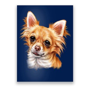 Long Haired Chihuahua Poster