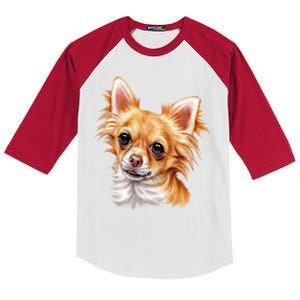 Long Haired Chihuahua Kids Colorblock Raglan Jersey