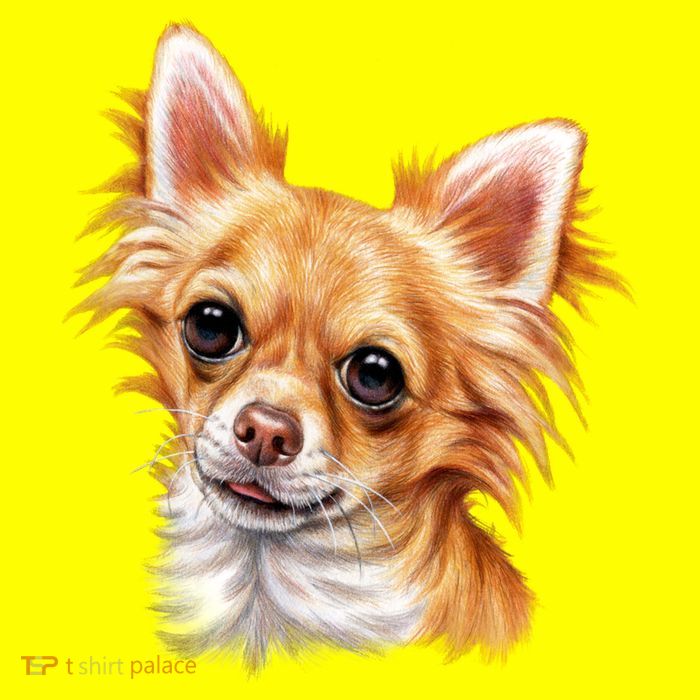 Long Haired Chihuahua 11oz C Handle Ceramic Mug