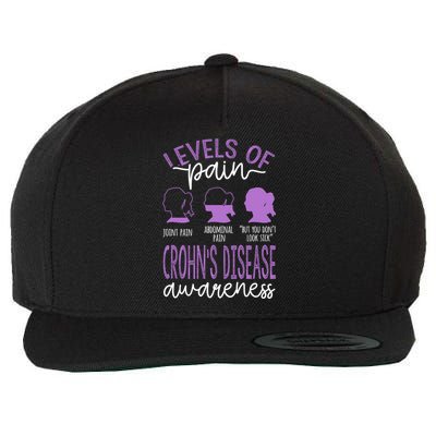 Levels Of Pain Crohns Disease Awareness Gift Wool Snapback Cap