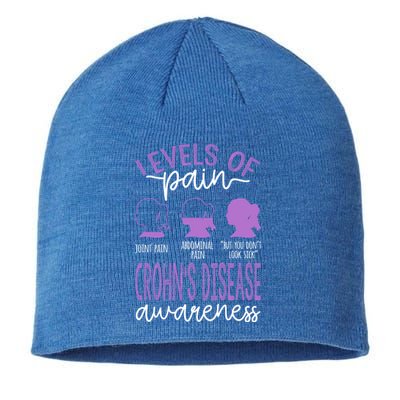 Levels Of Pain Crohns Disease Awareness Gift Sustainable Beanie