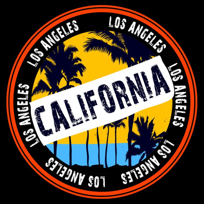 Los Angeles California Retro Circle LA 16 in Basic Backpack