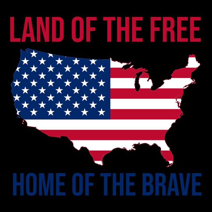 Land Of The Free Home Of The Brave American Flag Patriotic Poster