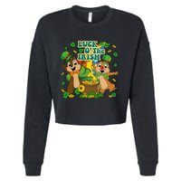 Luck O' The Irish Chipmunks Cute Saint Patrick's Day Gift Idea Cropped Pullover Crew