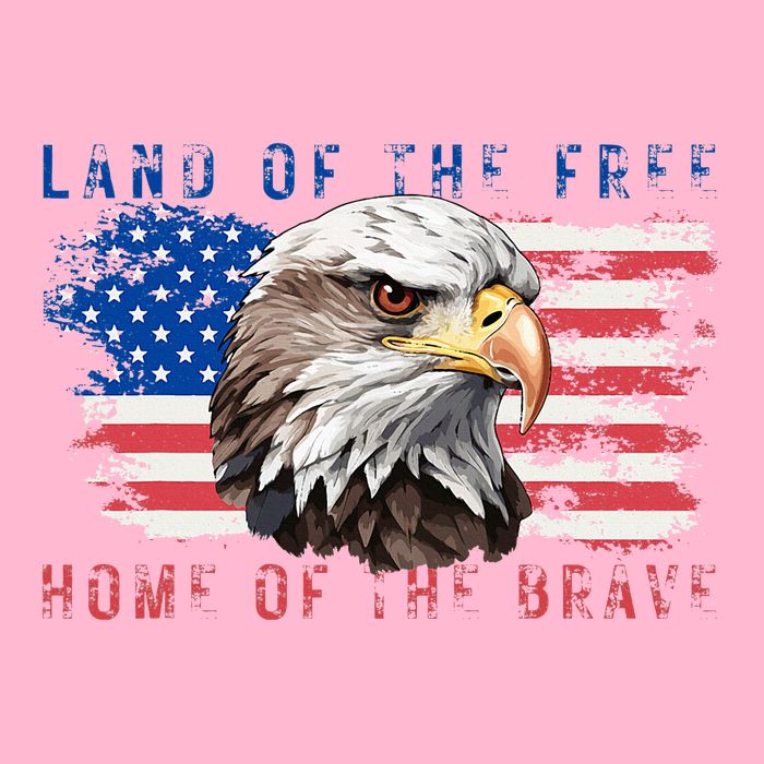 Land Of The Free Home Of The Brave Bald Eagle Us Flag Button