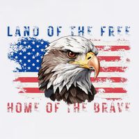Land Of The Free Home Of The Brave Bald Eagle Us Flag Bucket Hat