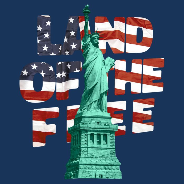 Land Of The Free Statue Of Liberty T-Shirt