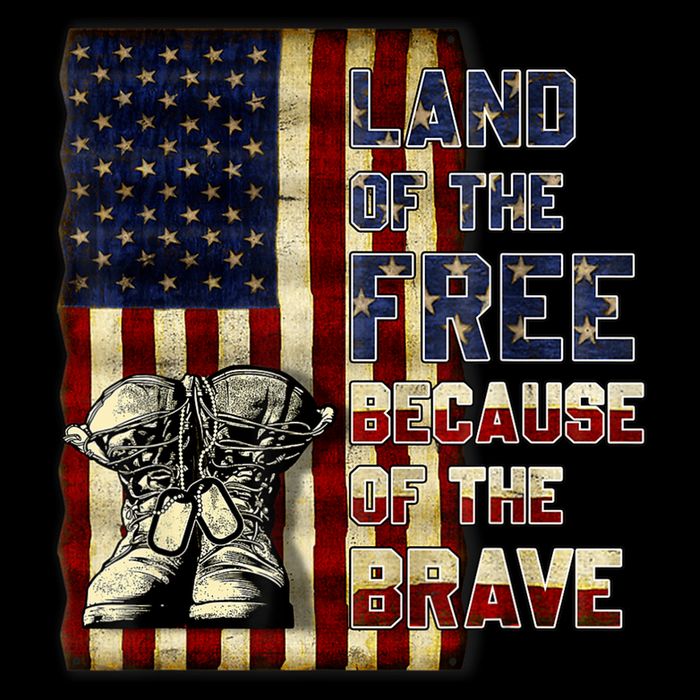 Land Of The Free,Because Of The Brave Memorial Day Patriotic Poster