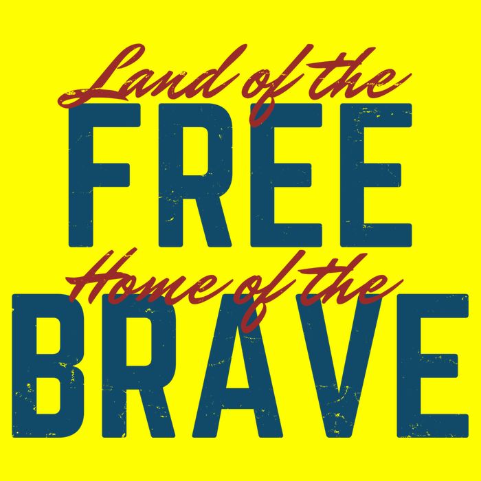 Land Of The Free Home Of The Brave Vintage Womens T-Shirt