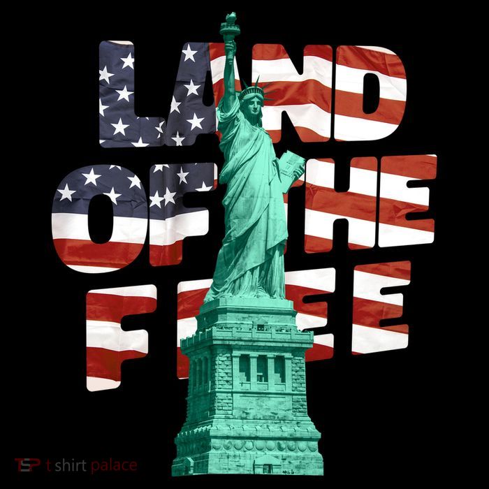 Land Of The Free Statue Of Liberty American Flag Mug