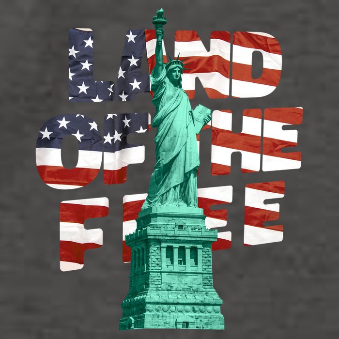 Land Of The Free Statue Of Liberty American Flag Vector Backpack