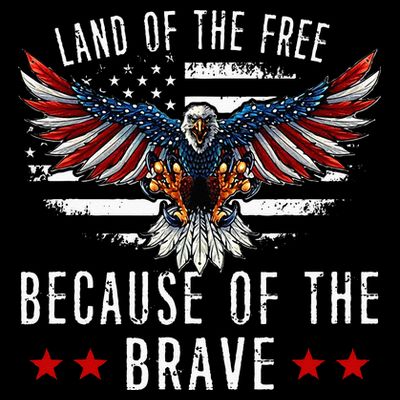 Land Of The Free Because Of The Brave Memorial Day Patriotic T-Shirt
