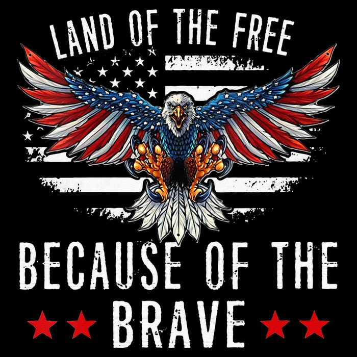 Land Of The Free Because Of The Brave Memorial Day Patriotic Poster