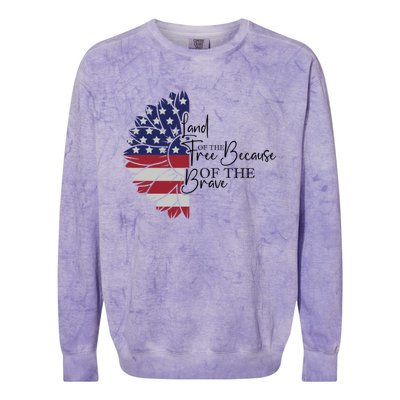 Land Of The Free Because Of The Brave Colorblast Crewneck Sweatshirt