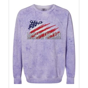 Land Of The Free Because Of The Brave Veterans Day Cool Gift Colorblast Crewneck Sweatshirt