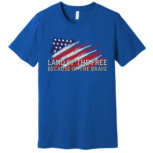 Land Of The Free Because Of The Brave Veterans Day Cool Gift Premium T-Shirt