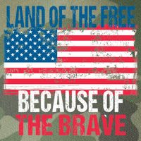 Land Of The Free Because Of The Brave 4th Of July Usa Flag Legacy Tie Dye Trucker Hat