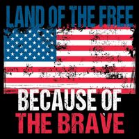 Land Of The Free Because Of The Brave 4th Of July Usa Flag Wool Snapback Cap