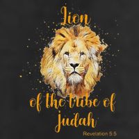 Lion Of The Tribe Of Judah Adult Drive Performance Visor