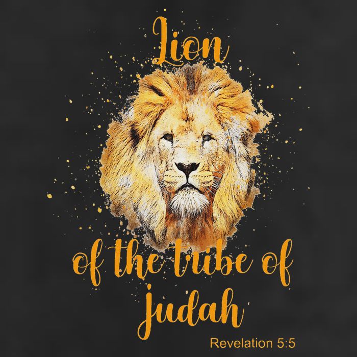 Lion Of The Tribe Of Judah Adult Drive Performance Visor