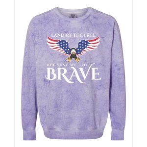 Land Of The Free Because Of The Brave Patriot Usa Gift Colorblast Crewneck Sweatshirt