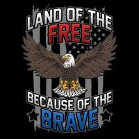 Land Of The Free Because Of The Brave July 4th Veteran's Day Gift Flat Bill Trucker Hat