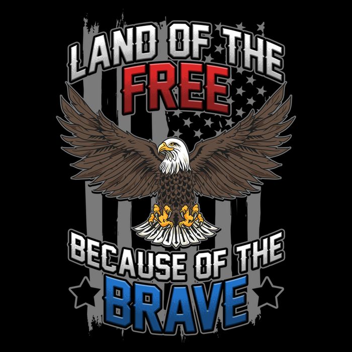Land Of The Free Because Of The Brave July 4th Veteran's Day Gift Flat Bill Trucker Hat
