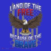 Land Of The Free Because Of The Brave July 4th Veteran's Day Gift 16 in Basic Backpack