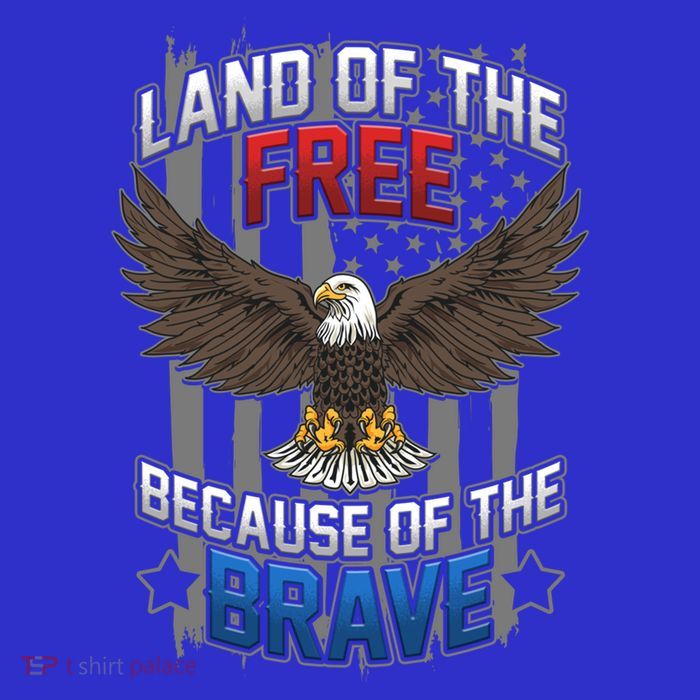 Land Of The Free Because Of The Brave July 4th Veteran's Day Gift 16 in Basic Backpack
