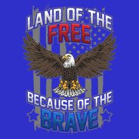 Land Of The Free Because Of The Brave July 4th Veteran's Day Gift Premium T-Shirt
