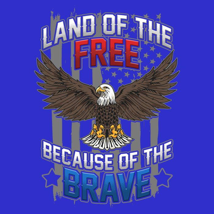 Land Of The Free Because Of The Brave July 4th Veteran's Day Gift Premium T-Shirt