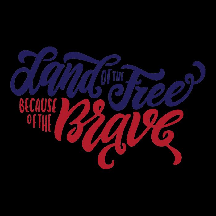 Land of the Free Because of the Brave 7-Panel Snapback Hat