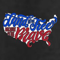 Land Of The Free Because Of The Brave USA America 11oz C Handle Ceramic Mug