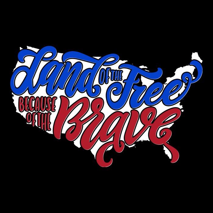 Land Of The Free Because Of The Brave USA America Flatbill Hat