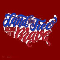 Land Of The Free Because Of The Brave USA America T-Shirt