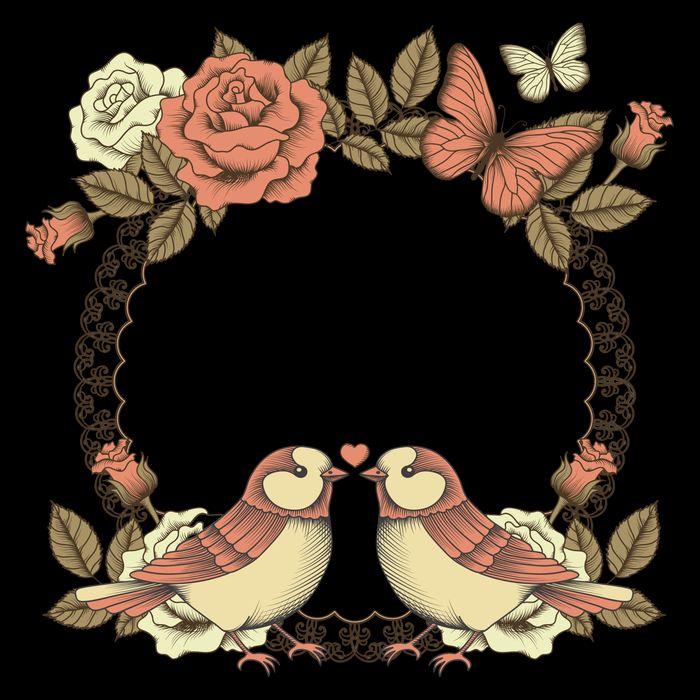 Love Birds Vintage Heart Frame Hoodie